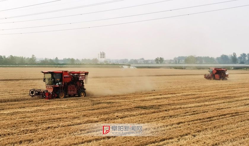 全市小麦收获已达七成
